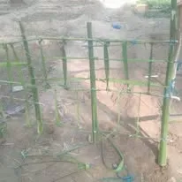 Green Seekers Activity